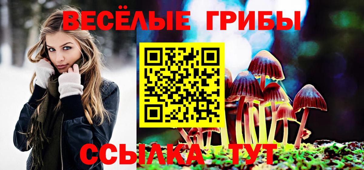 Дивногорск  Псилоцибиновые грибы GOLDEN TEACHER  Вход с VPN 