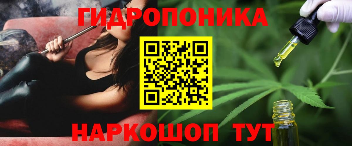 Бошки Шишки MAZAR Дивногорск